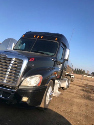 Electric Window Repair Madera